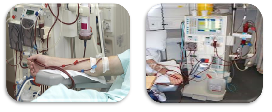  Marengo CIMS Hospital Renal Transplant