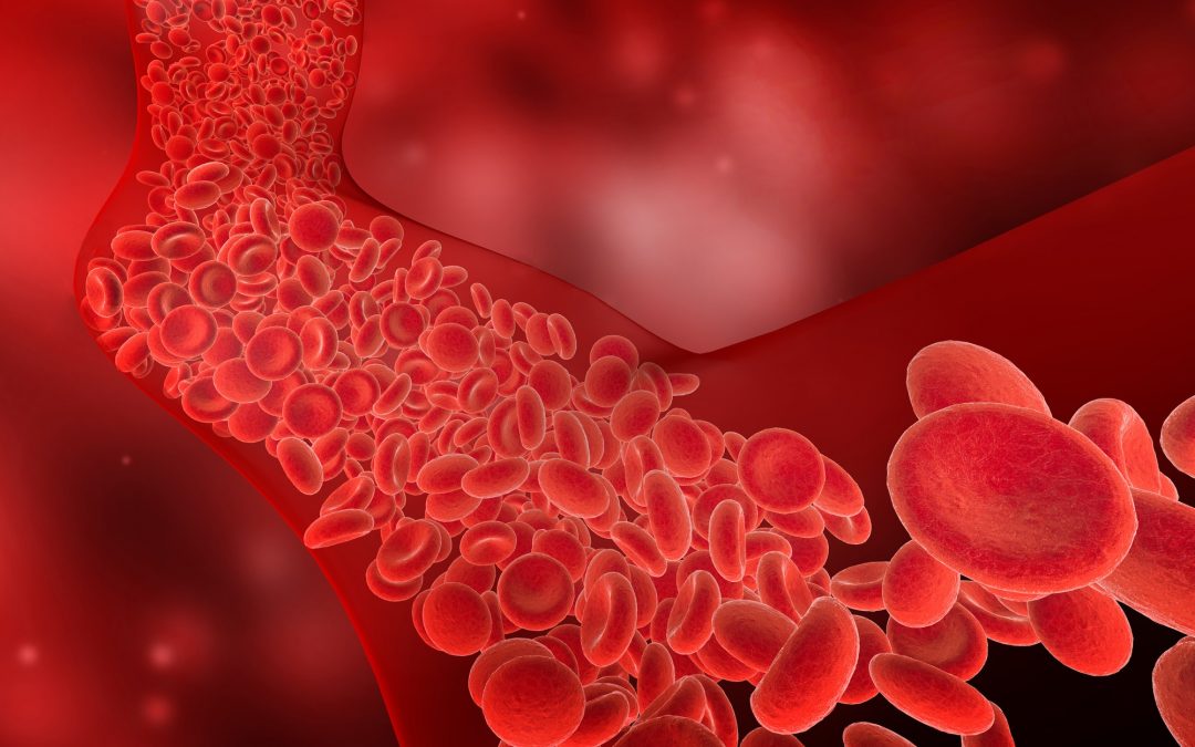 flow of red blood cells into the blood vessel, 3D illustration