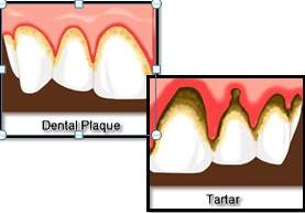 CIMS Dentistry