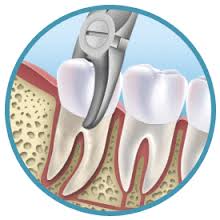 CIMS Dentistry